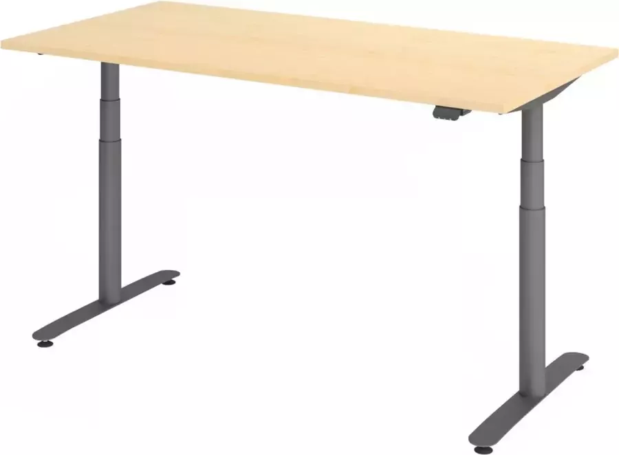 Hjh OFFICE PRO XDLR 16 G 160x80 Bureau elektrisch in hoogte verstelbaar Esdoorn 160 x 80 Tafelhoogte I Elektrisch in hoogte verstelbaar