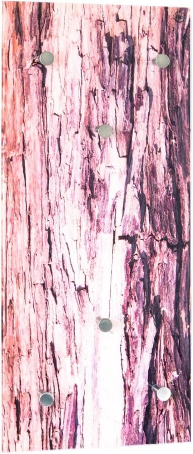 HK-Shop Kapstok – Wandkapstok van veiligheidsglas met boomschorsmotief – 6 haken in roestvrijstalen look – 6 mm veiligheidsglas en metaal – B 30 x H 70 cm – D 5 cm – Stijlvol ruimtebesparend design