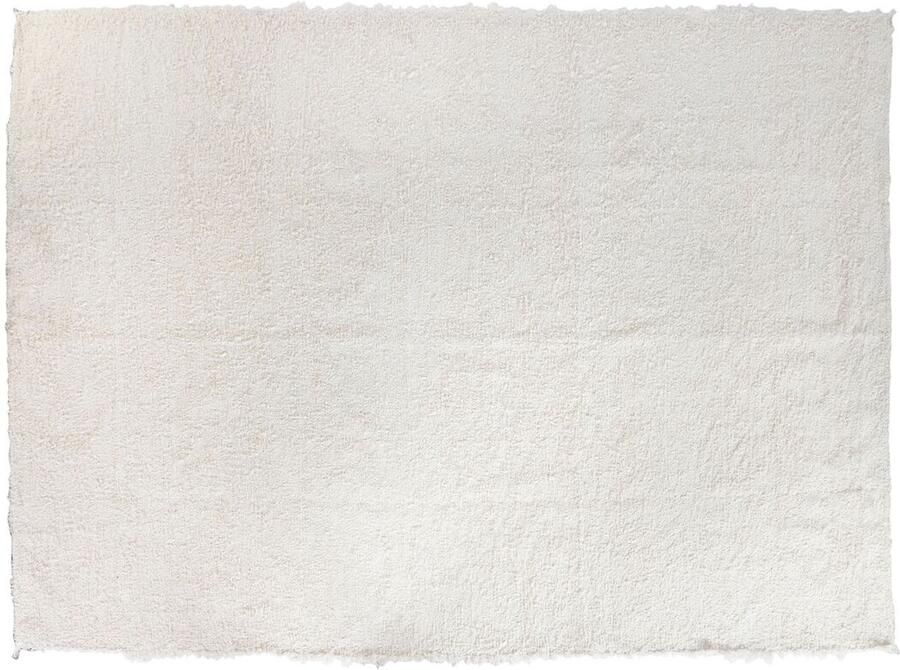 Home ESPRIT Tapijt 200 x 300 x 1 cm