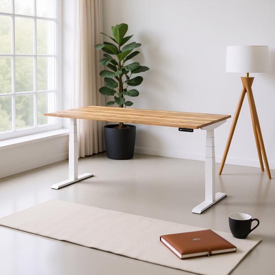 HomeByNicole Elektrisch Verstelbaar Bureau – Familie Schrijf- en Werktafel 120x80 cm – Hoogte Verstelbaar 52 5–121 cm met Memory Functie & Anti-Botsing – Modern Kantoor- en Homeoffice Bureau – Eiken Natura Wit –