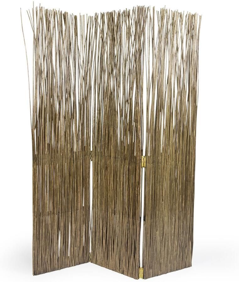 Homestyle4u Kamerscherm 120x170 cm 3-delig Wilg