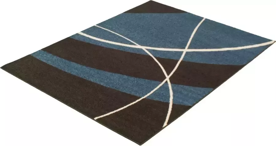 Houseify Geometrisch Vloerkleed Cosi Donker bruin & blauw Laagpolig 170 x 120 cm