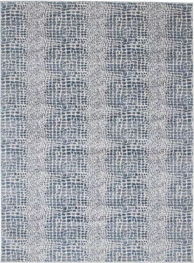 Houseify Vloerkleed Vintage Blauw Talia 180 x 120 cm