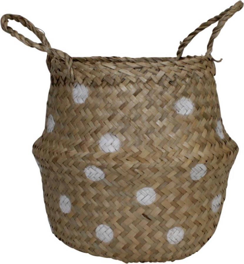 Housevitamin Zeegras mand- Stip-22x19 - Foto 2