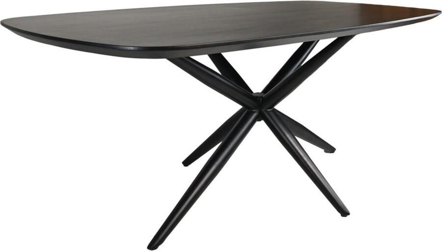 HSM Collection -Danish Ovale Eettafel-200x100x4-Zwart-Mango Metaal