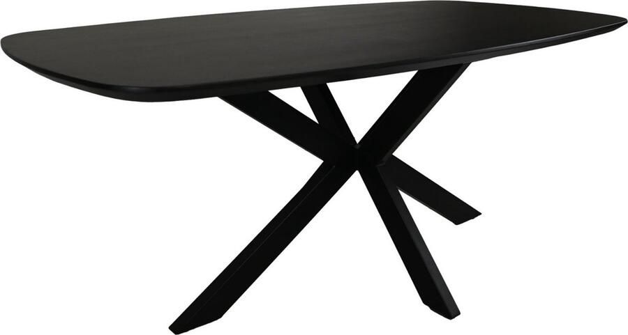 HSM Collection -Danish Ovale Eettafel-1-220x100x76-Zwart-Mango Metaal