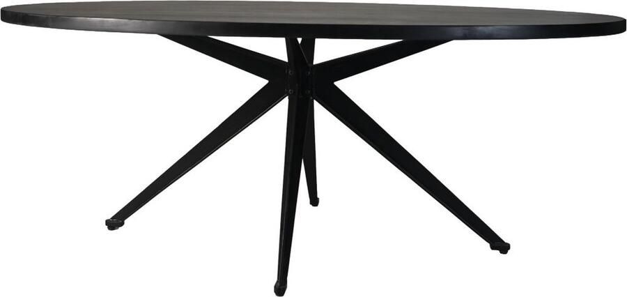 HSM Collection HSM Ovale Eettafel 220x100x76 Zwart Mangohout|metaal