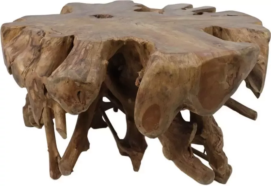 HSM Collection Spider Coffee Table 80x80x40cm Teak Root - Foto 1