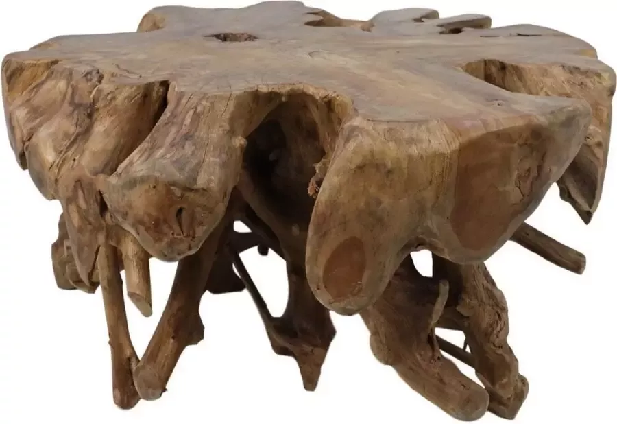 HSM Collection Spider Coffee Table 80x80x40cm Teak Root