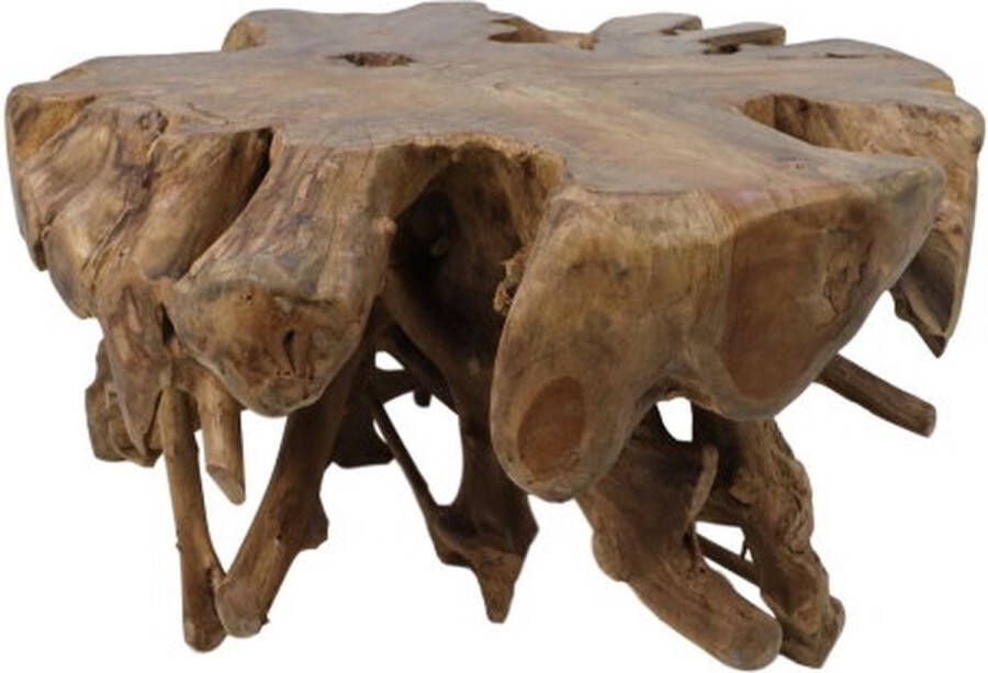 HSM Collection Spider Coffee Table 80x80x40cm Teak Root