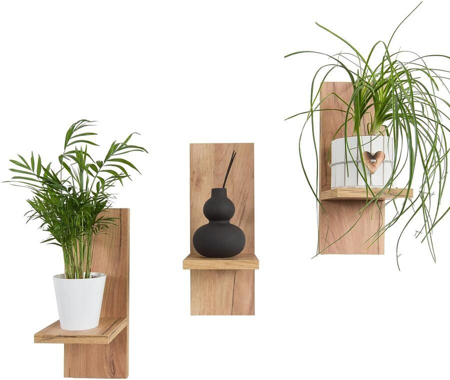 Ibenzoa Binnenhuisdecoratie: Stijlvolle Set van 3 Houten Wandplanken voor Planten en Decoratie