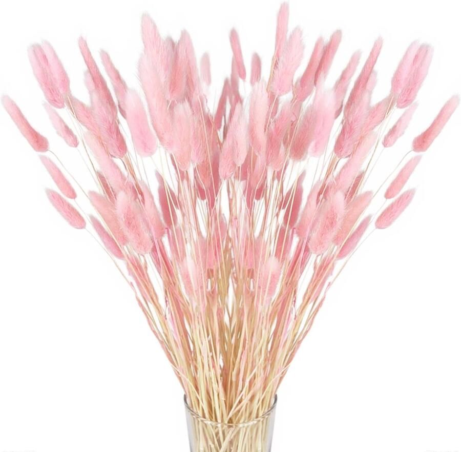 Ibenzoa Set van 120 Stuks Gedroogd Pampasgras Klein voor Decoratie in Huis Bruiloft en Tafel