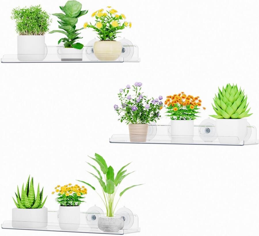 Ibenzoa Transparante Raamplantenrekken met Zuignap voor Bloemen en Kruiden Set van 3 Stuks