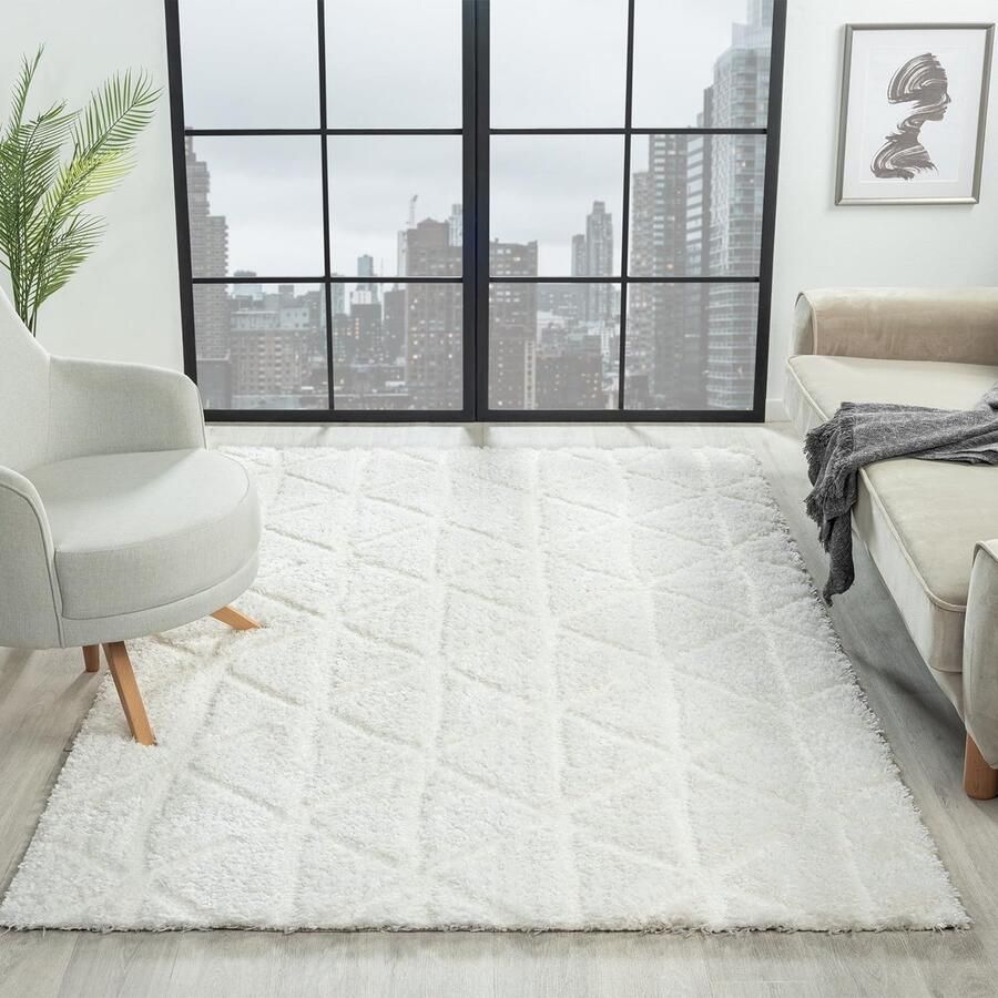 Ibenzoa Ultrazacht Hoogpolig Tapijt met Luxe Patroon voor Elke Kamer 120x170 cm