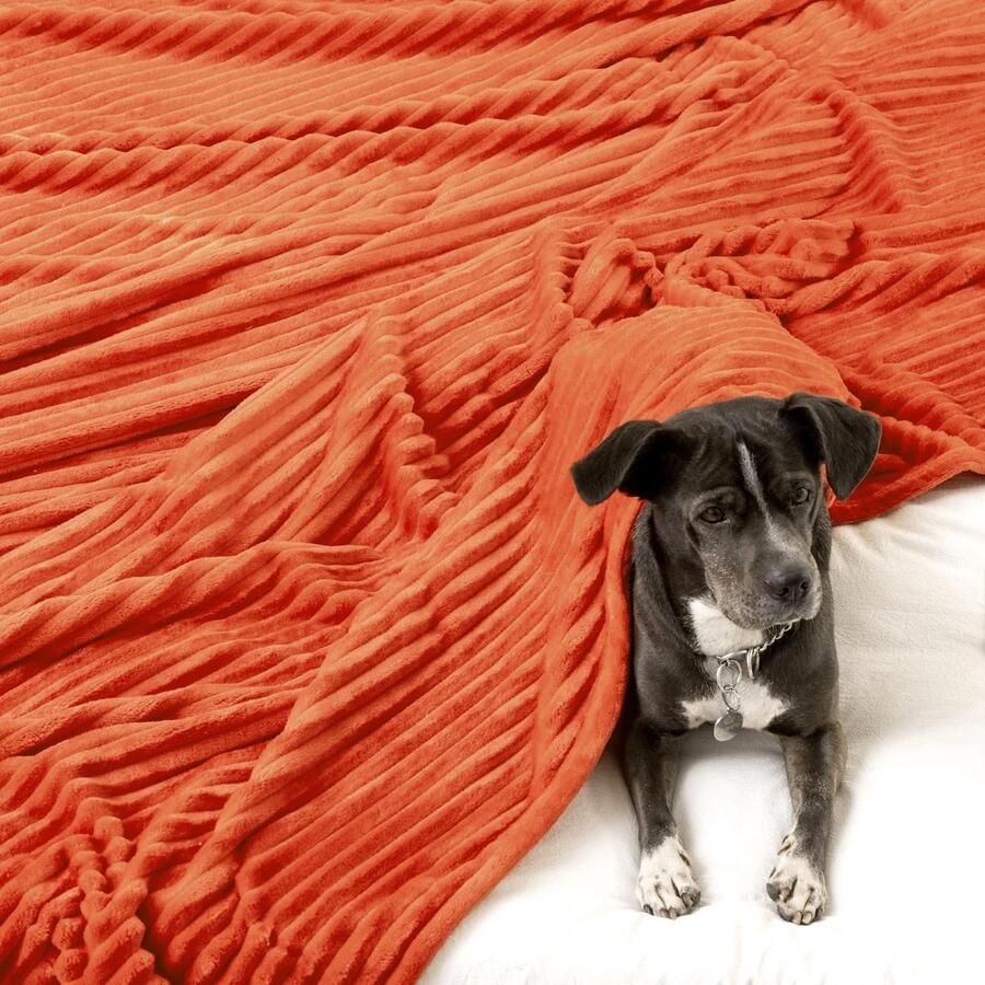 Ibenzoa Warme en Zachte Flanellen Dekens voor Slaapkamer Bank en Kantoor 125 x 150 cm