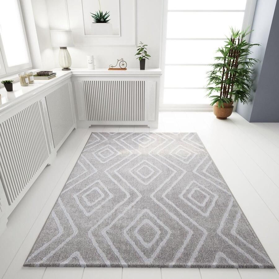 Ibenzoa Zacht en Modern Vloerkleed met 3D-Effect voor Woonkamer Grijs 160 x 230 cm