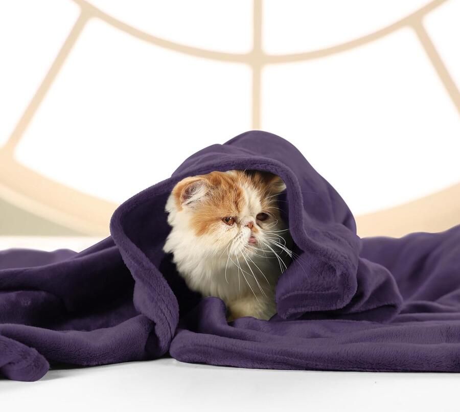 Inovra Beddengoed Knuffelige Fleece Deken Zachte Lichtgewicht Warme Fluffy Deken Knuffelige en Ademende Dekens voor Bed Bank (220 x 240 cm) Paars