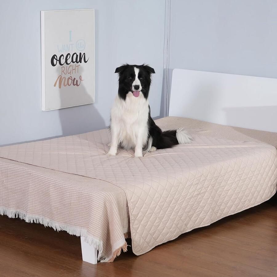 Inovra Huisdierenvriendelijke Beschermdeken voor Meubels en Bedden Omkeerbaar en Waterafstotend 203 x 152 cm