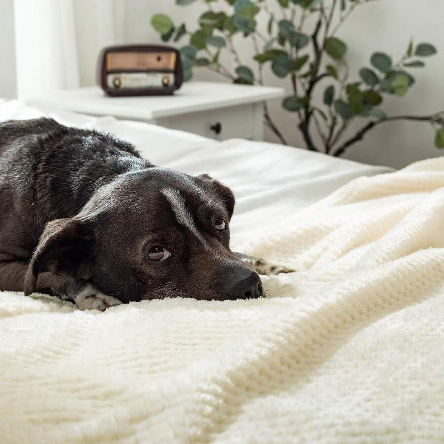 Inovra Knuffeldeken Granulaat Fleece Deken Flanellen Deken Zacht Fluffy Effen Dekens Bank Deken Bank Deken voor Bed Bank Slaapkamer Kantoor 150 x 200 cm Crème Wit