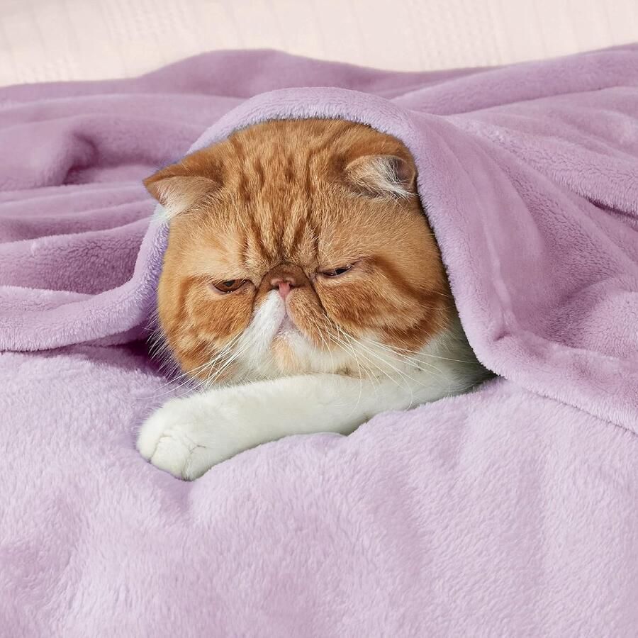 Inovra Knuffeldeken pluizige deken fleece-deken voor in de woonkamer warm winter zacht voor op de bank dekens zitbank 150 x 200 cm XL lila