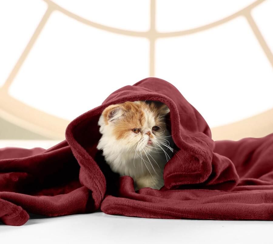 Inovra Knuffelige fleece deken zachte lichte warme donzige deken knuffelige en ademende dekens voor bed bank (220 x 240 cm) bordeauxrood