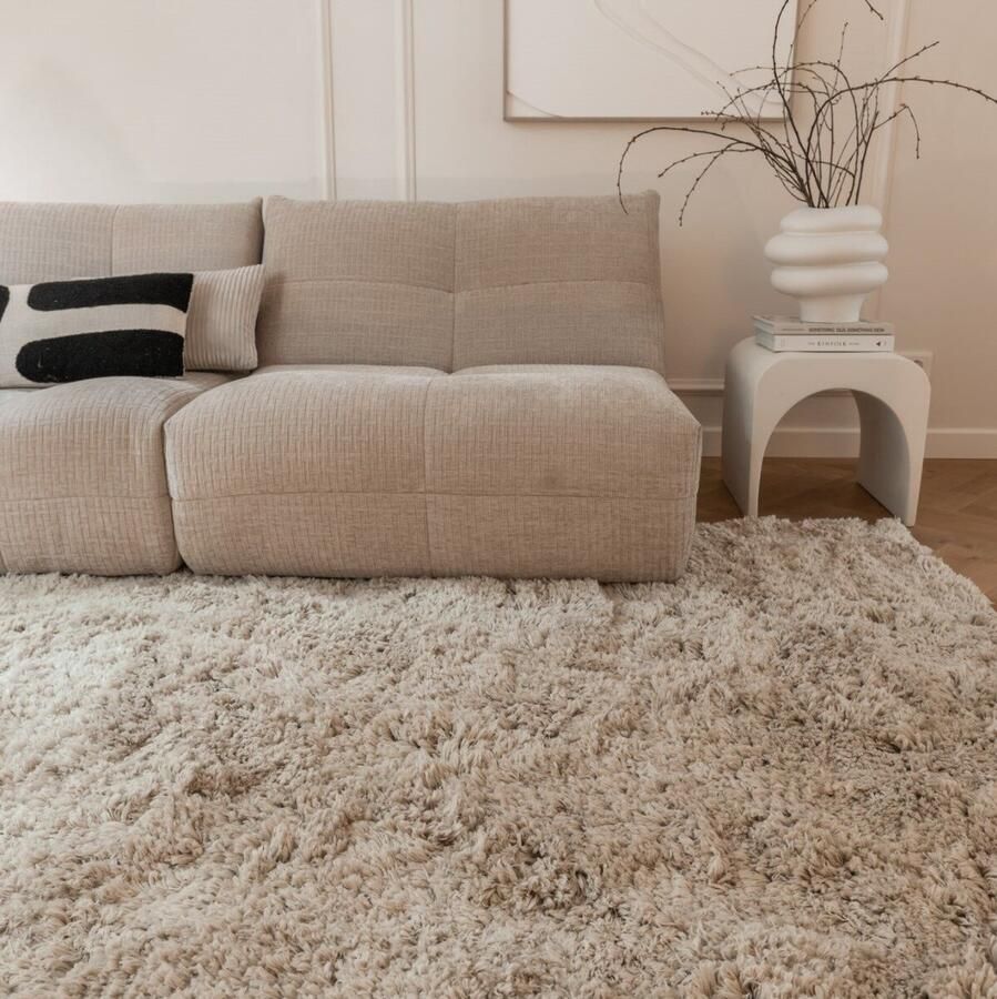 Interieur 05 Hoogpolig Vloerkleed Pilo Beige Polyester Interieur05 240 x 340 cm (XL)