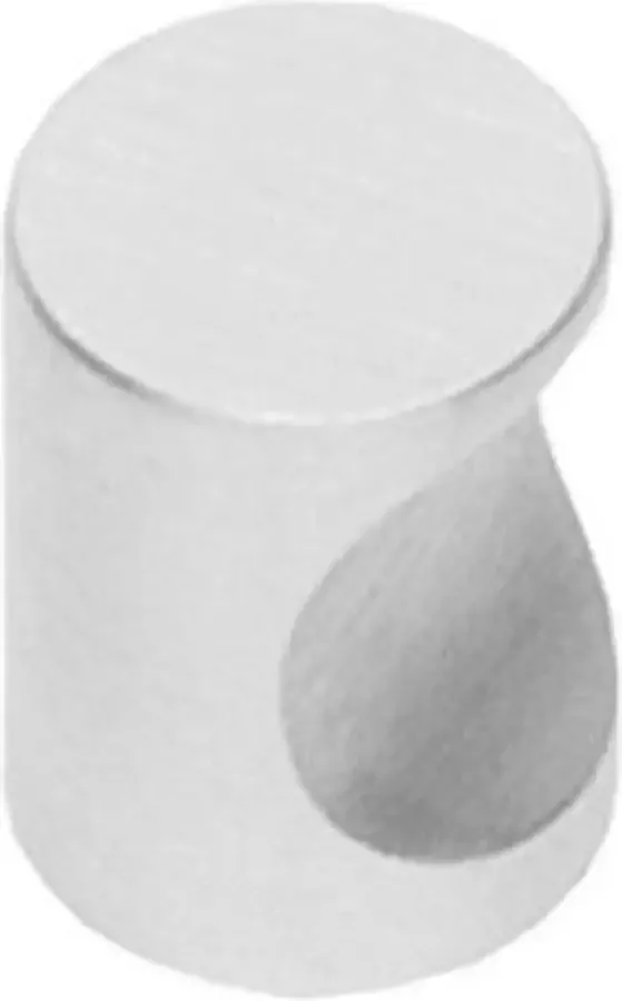 Intersteel Meubelknop ø 18 mm rvs geborsteld vingergrip