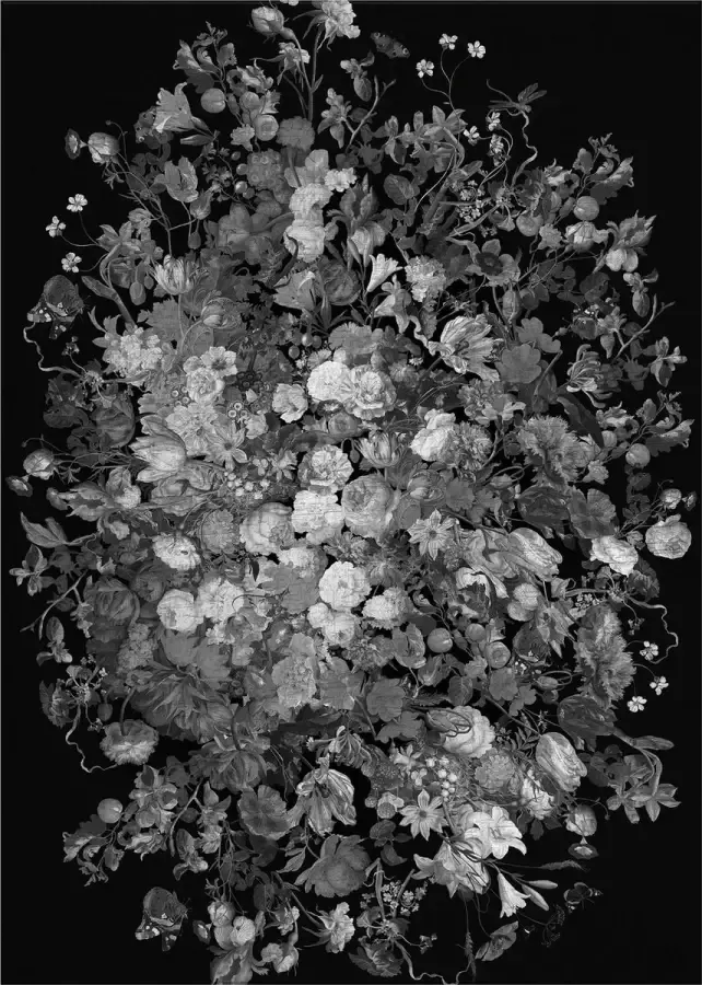 Jackie And The Fish Dutch Uncle Silver Vloerkleed 200x295 Rechthoek Laagpolig Tapijt Modern Grijs Wit Zwart