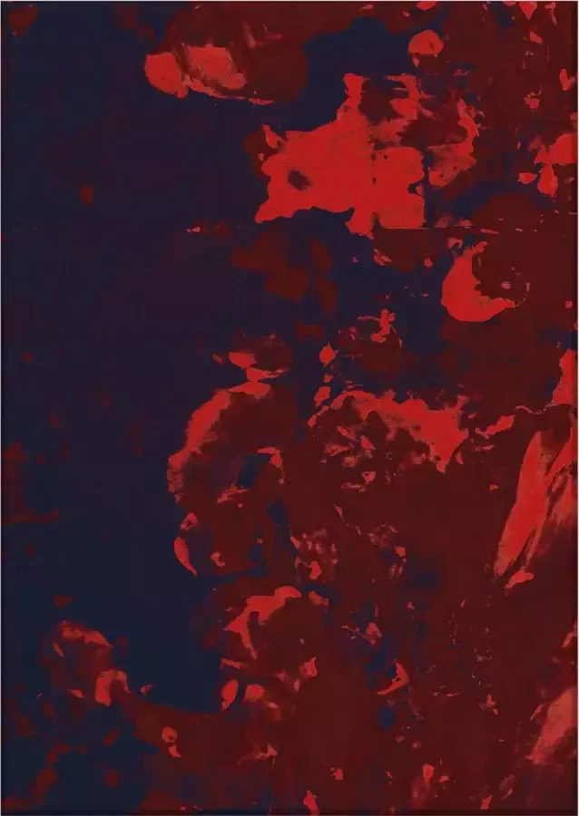 Jackie And The Fish Late Shower Chinese Red Vloerkleed 200x295 Rechthoek Laagpolig Tapijt Modern Rood Zwart