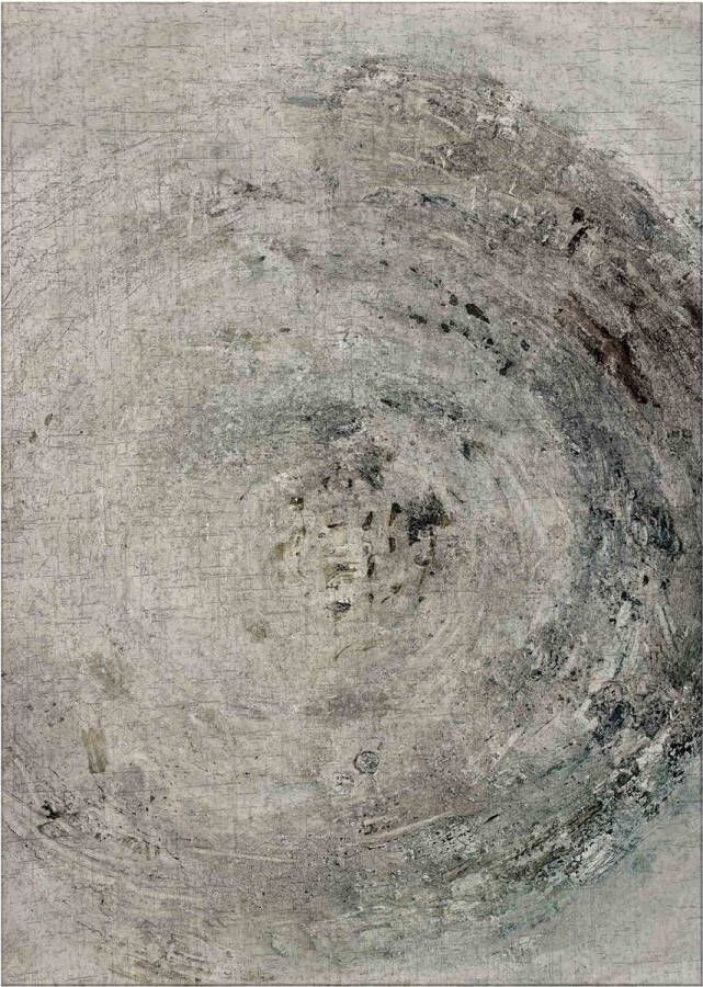 Jackie And The Fish Nautilus Grey Cliff Vloerkleed 170x240 Rechthoek Laagpolig Tapijt Modern Beige Grijs Zwart - Foto 2