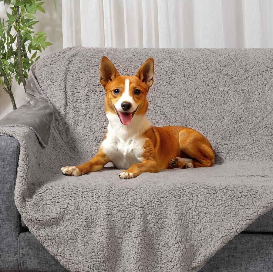 JEMIDI fleece deken met sherpa voering 140 x 180 cm Warme en fluffy fleece plaid Knuffeldeken voor op de bank en bed Zachte sprei Lichtgrijs