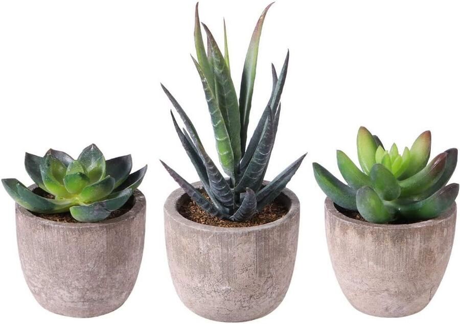 Jenuos Gepotte Artificiële Eucalyptus Planten (3 Pak) Kleine Faux Plastic Groen in Potten 6x14cm Nep Faux Vetplanten Kaktus Plant Pot Set – Huis Decoraties & Kantoor Bureau Decor Plantenpotten
