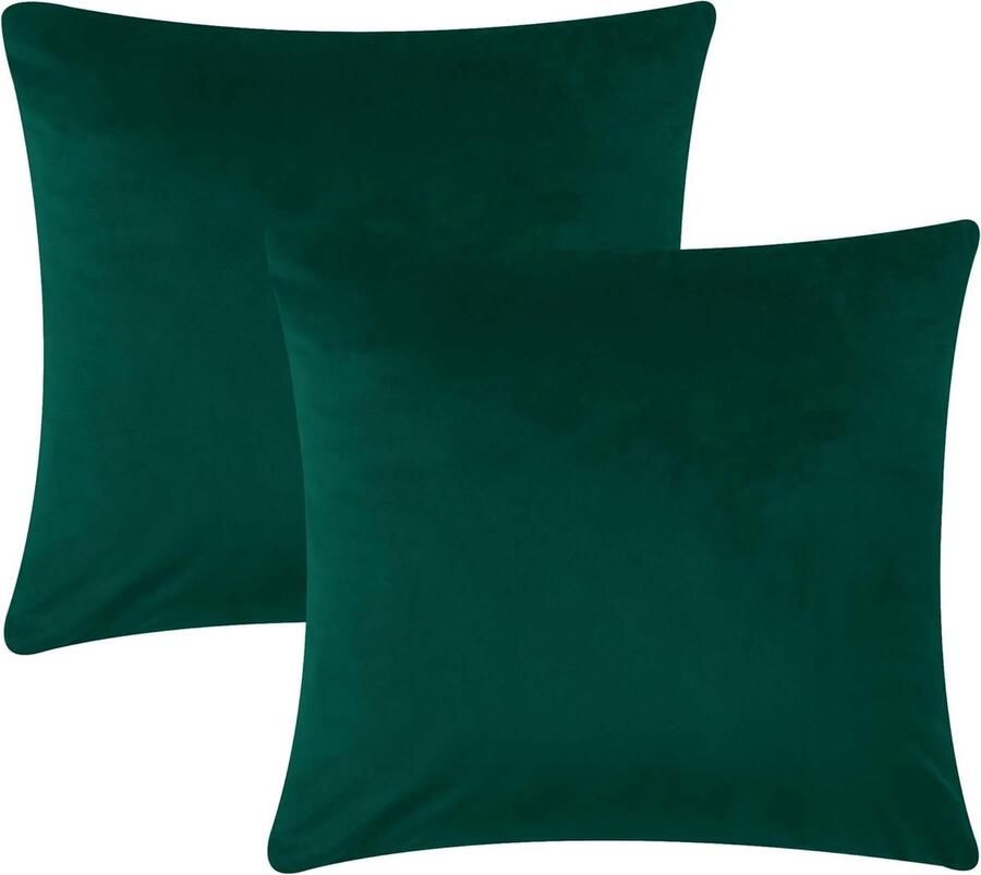 JGS Cadeauset van 2 Luxe Kussenhoezen van Fluweel 45 x 45 cm Groene Decoratieve Kussenhoes met Verborgen Rits voor Bank