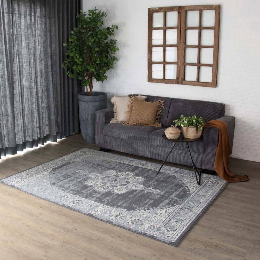 Joy de Vivre Vintage Vloerkleed Numisma grijs 200x290 cm