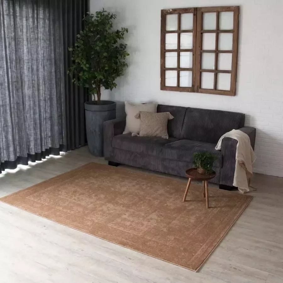 Joy de Vivre Vintage Vloerkleed Orbis bruin 200x290 cm