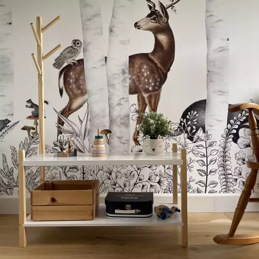 Judy Wild Kid's Spirit Schoenenrek Met Kapstok Wit Hout 120 x 80 x 30 cm