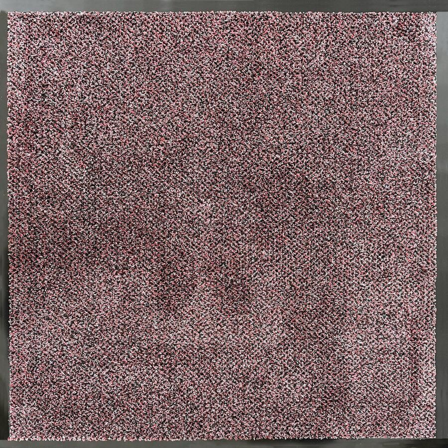 JYG ROYAL grijs rood 90cm droogloopmat droogloop loper voor binnen antislip onderzijde in verschillende maten verkrijgbaar afwerking 4 lange zijden stootrand 90 x 200cm