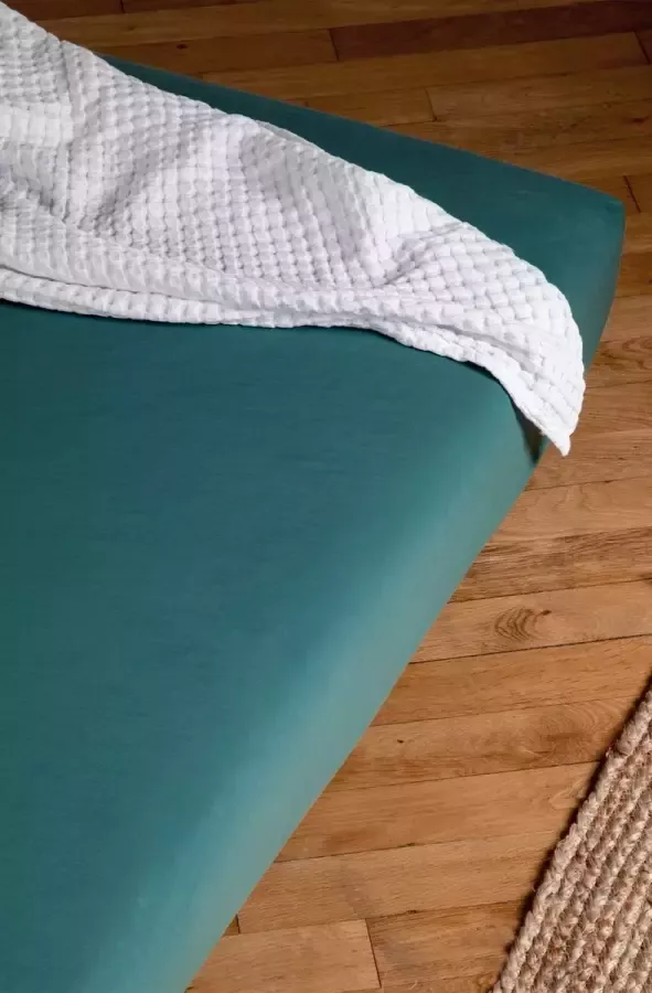 KADOLIS Waterdicht hoeslaken voor tweepersoonsbed 140x200 cm Eucalyptus