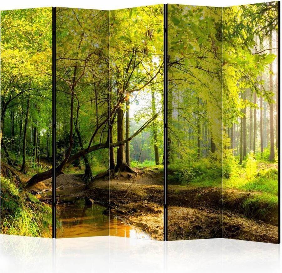 Karo-art Vouwscherm Bos 225x172cm gemonteerd geleverd dubbelzijdig geprint (kamerscherm)