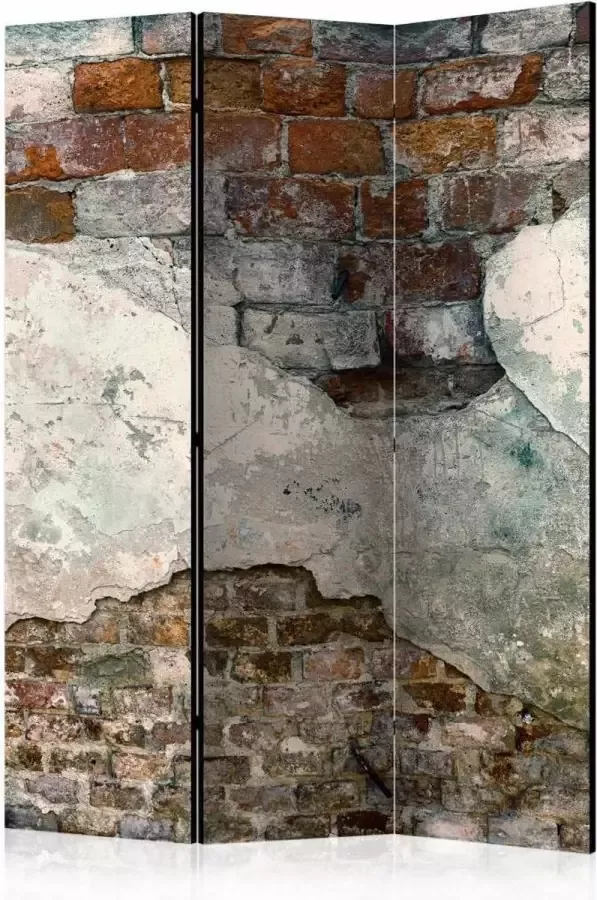 Karo-art Vouwscherm De muur 135x172cm gemonteerd geleverd (kamerscherm) dubbelzijdig geprint