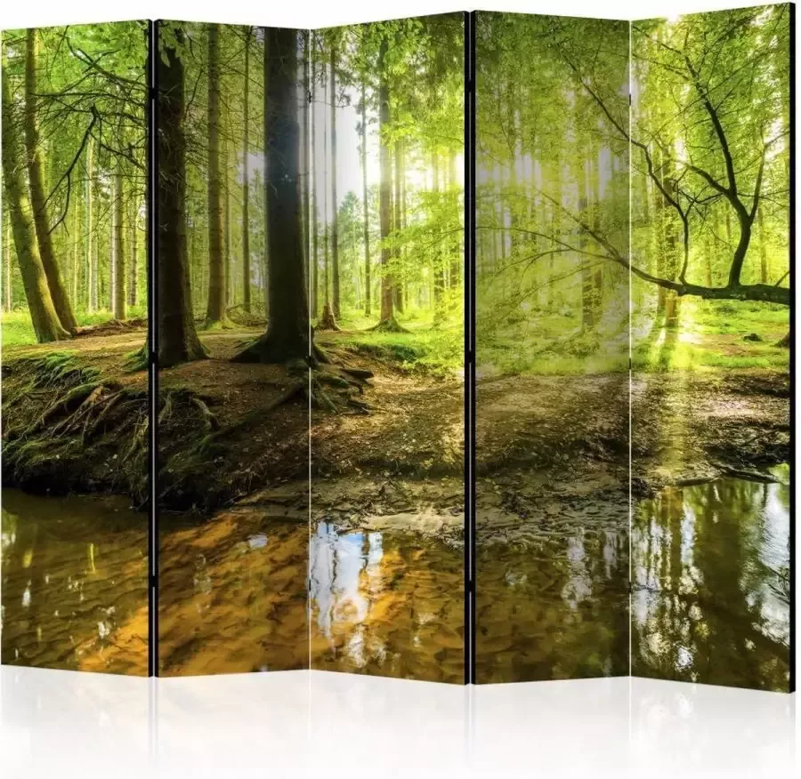 karo-art Vouwscherm -Het bos 225x172cm gemonteerd geleverd dubbelzijdig geprint(kamerscherm)