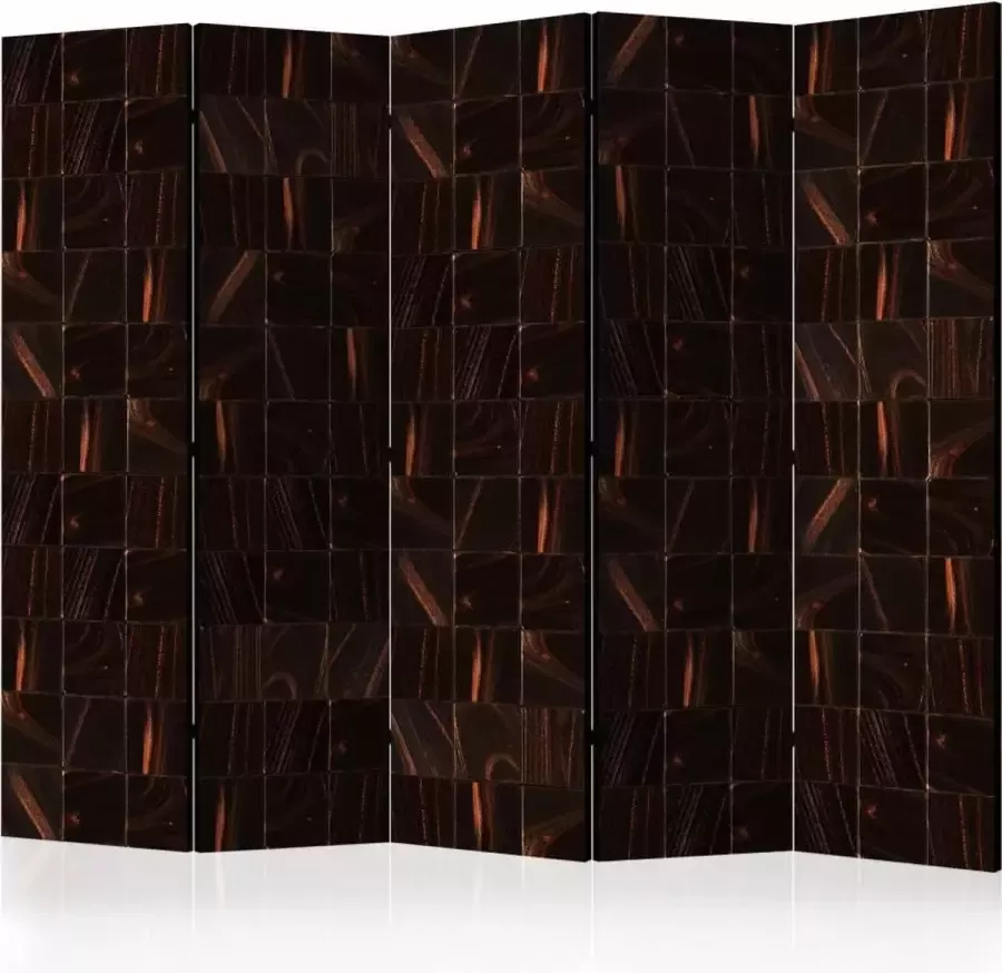 Karo-art Vouwscherm Het geheim van Magma 225x172cm gemonteerd geleverd dubbelzijdig geprint (kamerscherm)