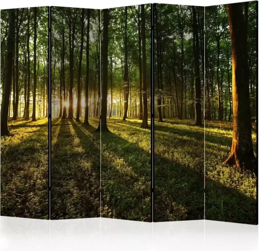 karo-art Vouwscherm Ochtend in het bos 225x172cm gemonteerd geleverd dubbelzijdig geprint (kamerscherm)