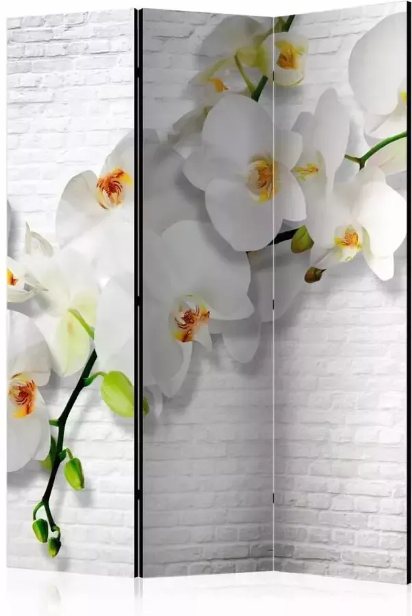 karo-art Vouwscherm Orchidee op witte muur 135x172cm gemonteerd geleverd (kamerscherm) dubbelzijdig geprint