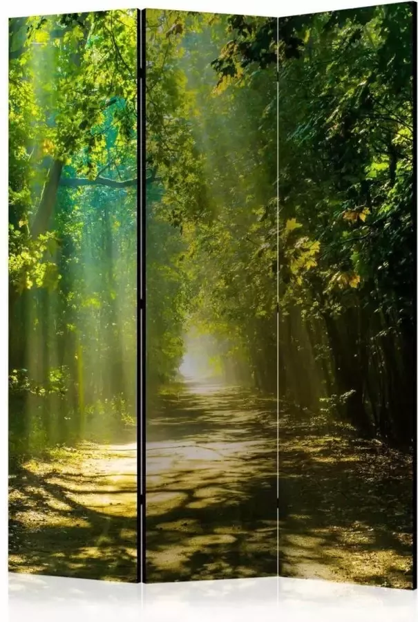 Karo-art Vouwscherm Pad door het bos 135x172cm gemonteerd geleverd (kamerscherm) dubbelzijdig geprint - Foto 1