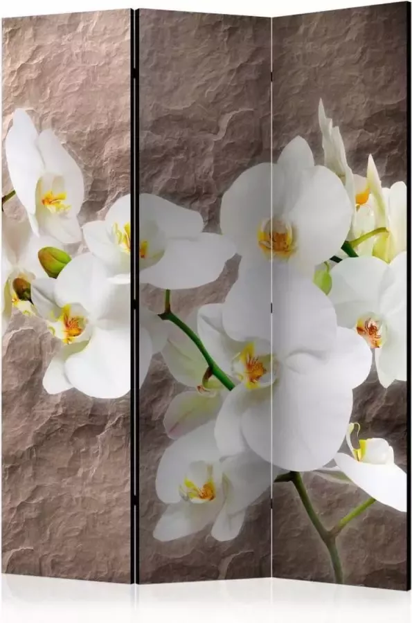 karo-art Vouwscherm Perfectie van de Orchidee 135x172cm gemonteerd geleverd (kamerscherm) dubbelzijdig geprint