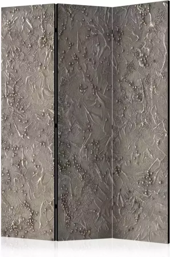 Karo-art Vouwscherm Zilver serenade 135x172cm gemonteerd geleverd (kamerscherm) dubbelzijdig geprint