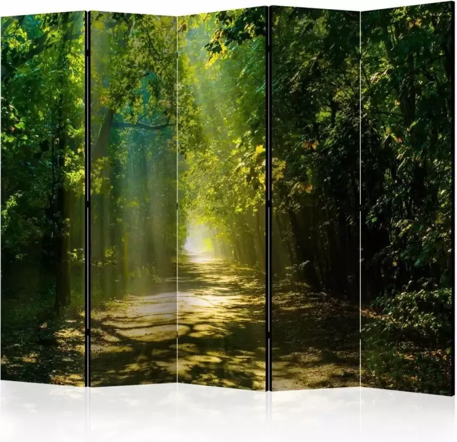 karo-art Vouwscherm Zonlicht door de bomen bos 225x172cm gemonteerd geleverd dubbelzijdig geprint (kamerscherm)