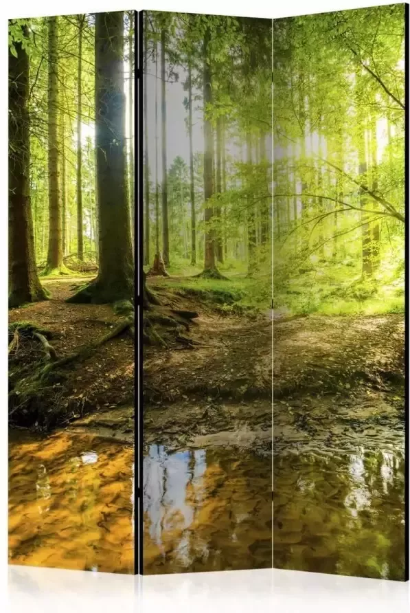 karo-art Vouwscherm Zonlicht in het bos 135x172cm gemonteerd geleverd (kamerscherm) dubbelzijdig geprint