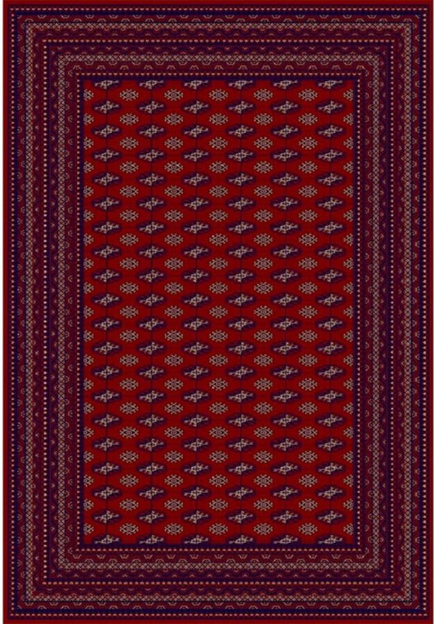 Karpet24 Klassiek Perzisch Tapijt Oosters Vloerkleed in Rijke Rood- en Donkerroodtint-280x380 cm - Foto 2